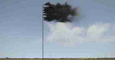 John Gerrard - Western Flag
