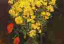 Vincent Van Gogh - Poppy Flowers