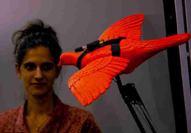 Beatriz da Costa — PigeonBlog