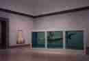 Young British Artists from the Saatchi Collection, Brooklyn Museum, 1999–2000. Photo Brooklyn Museum, via Wikimedia Commons.